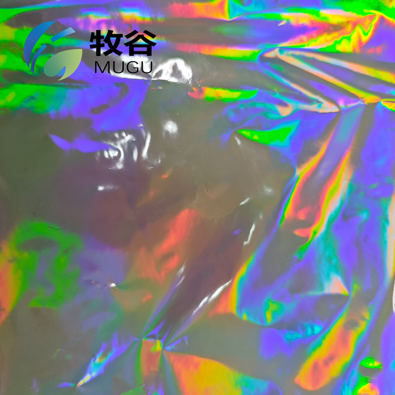 Seamless Rainbow Holographic Film